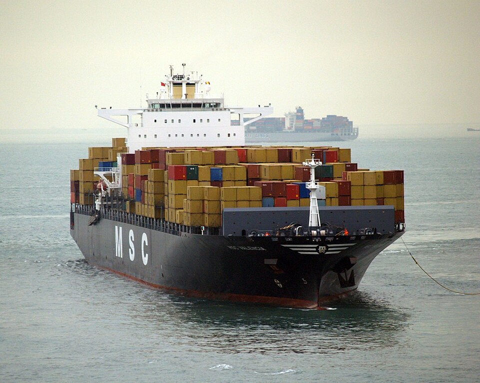 Фотография судна MSC LUANDA VIII